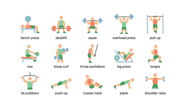 Illustrated exercise guide: strength training and weightlifting with barbells and dumbbells