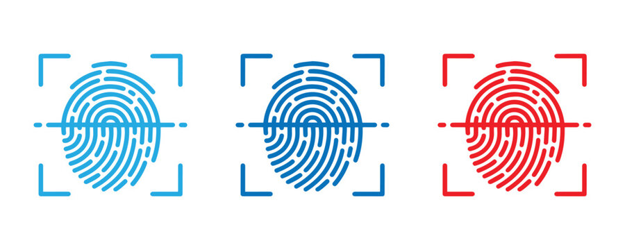 Fingerprint vector analysis biometric security and identification with vector graphics