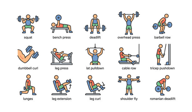 Cartoon illustrations of 12 various weightlifting exercises in simple style