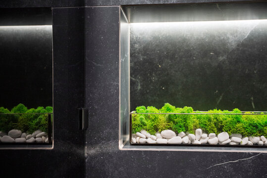 Modern bathroom decor featuring stabilized green moss in a glass container with white stones. Reed diffuser with wooden sticks in a lit niche against a dark marble wall. Zen spa luxury interior.