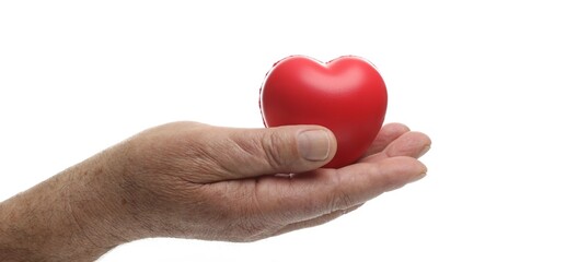 Obraz premium Elderly man holding heart model on white background, closeup