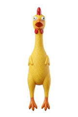 Yellow rubber chicken toy isolated. Funny comedy prop. © PNG Lab