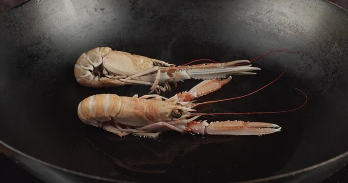 pan frying fresh scampi (Nephrops norvegicus) closeup selective focus 4k 30fps