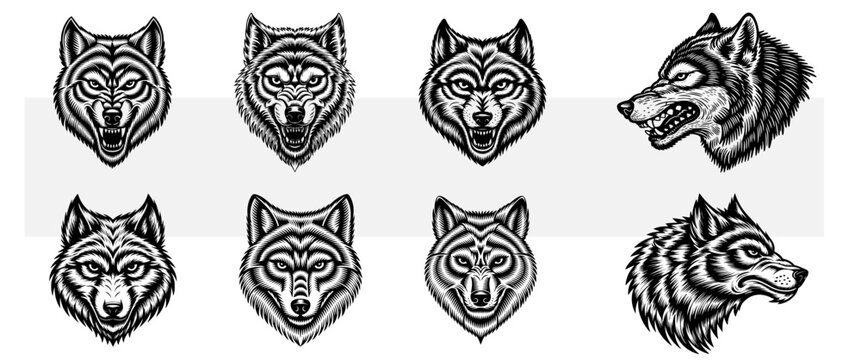 Wolf head collection, snarling timber wolf faces, vintage woodcut engraving set, predator mascot icons, wildlife tattoo design and heraldry elements
