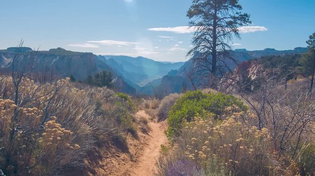Footage of the scenic East Mesa Trail in Zion National Park, Utah. The trail goes through a ponderosa pine forest on the upper east side of Zion and leads to Observation Point, offering expansive view