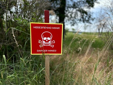 Warning sign with skull symbol and text &ldquo;Danger Mines!&rdquo; marking a dangerous area in a forest landscape in Ukraine. The sign indicates land contaminated with landmines and unexploded ordnance