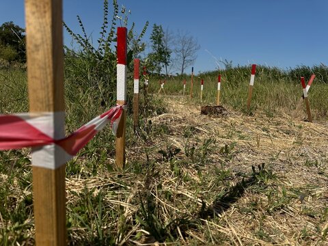 Minefield warning sign with ukraine text &ldquo;Danger Mines!&rdquo; placed in a burned forest area affected by conflict. The marked area indicates possible landmine contamination and explosive hazards