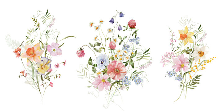 Spring bouquet set. Watercolor colorful wildflower floral clipart - flower meadow green red yellow herbs leaves. Wedding invitation, fashion, background, textile. Peony, rose, shamrock, chamomile