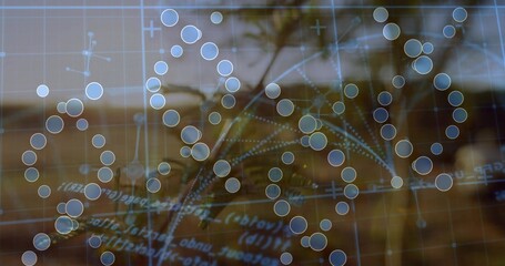 Fototapeta premium Displaying molecular helix overlay on palm backdrop, showing glowing nodes and blue grid
