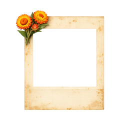 Fototapeta premium PNG Vintage floral photo frame