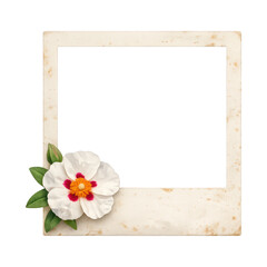 Fototapeta premium PNG Vintage floral photo frame