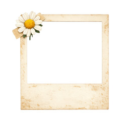 Fototapeta premium PNG Vintage floral photo frame