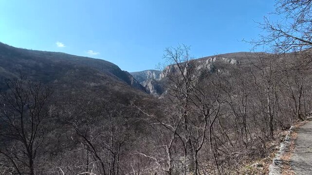 Bare trees frame a deep, sunlit canyon. Lazarev (Lazar's) Canyon. Balkans, Serbia.
