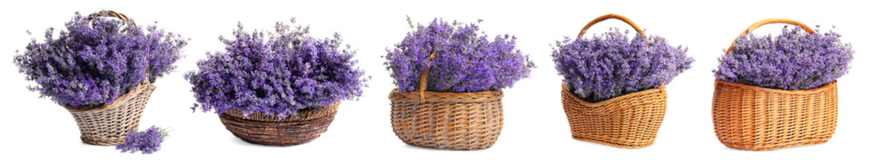 Fototapeta premium Wicker baskets with vibrant lavender flowers on white background, set