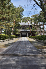 Obraz premium 相国寺 法堂へと続く参道(京都市上京区)