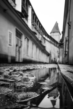 Black and white reflection in a street puddle
