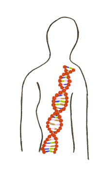 Silhouette d'un homme avec son ADN