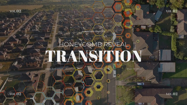 Honeycomb Reveal Transition / Horizontal / Part 02
