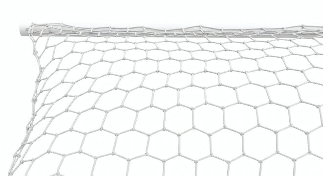 Close-up of White Chicken Wire Mesh Fencing on Plain Background