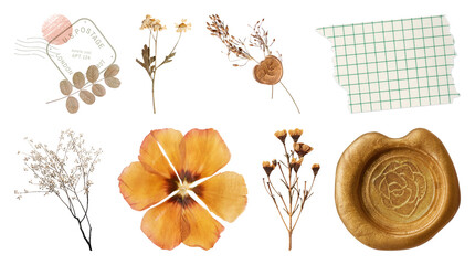 Naklejka na ściany i meble PNG Vintage botanical scrapbook elements on transparent background