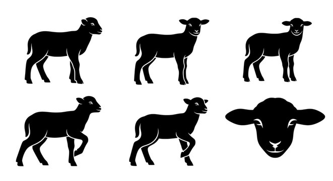 Set of vector silhouettes of lamb icons