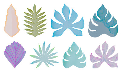 PNG Colorful abstract tropical leaves on transparent background © Rawpixel.com