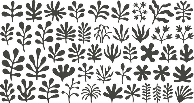 Collection of Dark Gray Silhouette Plant and Leaf Shapes
