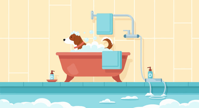Dachshund dog in bathtub taking bath.