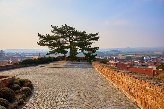 Paved pathway with twin trees overlooking a scenic european town on a clear day