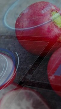 Vertical video: Overlay activating, drifting over radish with scar and sliced half showing texture