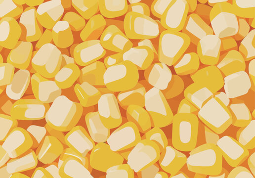 Corn kernels spread on a colorful background showing the details of the shape and color of the grains