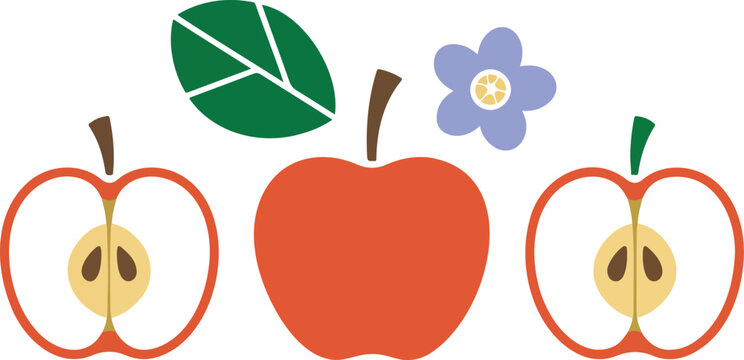 Red apple elements set with slices flower and leaf minimal flat vector illustration with grainy texture isolated on white background food collection