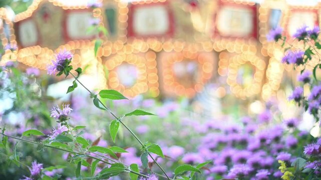 遊園地のメリーゴーランドの玉ボケと手前に咲く紫の花（モナルダ） ロマンチックな風景 4K