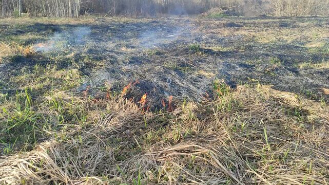 Burning dry grass in the open air №3