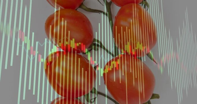 Overlay appearing over tomato cluster light bars pulsing and candle waveform drifting showing data