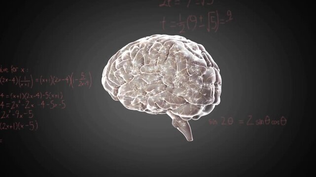 3D brain rotating and pulsing, frames starting math notes and graphs for visualizing cognition