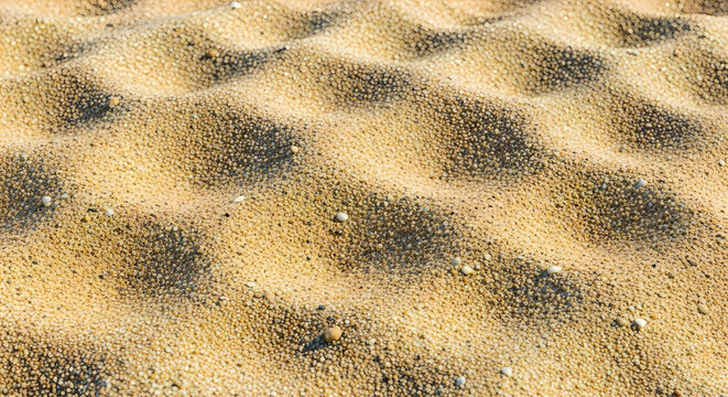 A pixelated image of a desert landscape with rocks and green plants