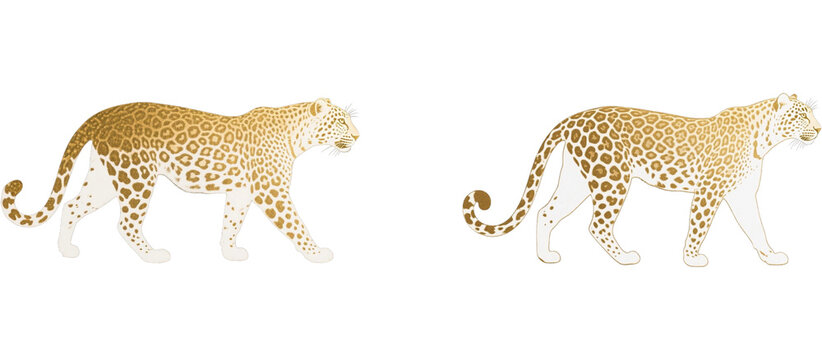 豹　ジャガー　動物　生き物　イラスト