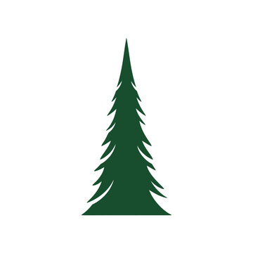 Evergreen conifer tree silhouette, a symbol of nature and the outdoors