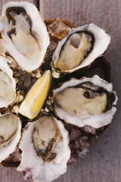 Oysters