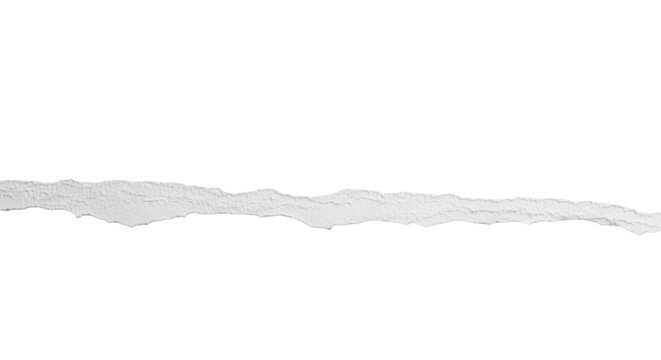 A ripped paper edge with frayed texture creates a dynamic line perfect for design elements on transparent background