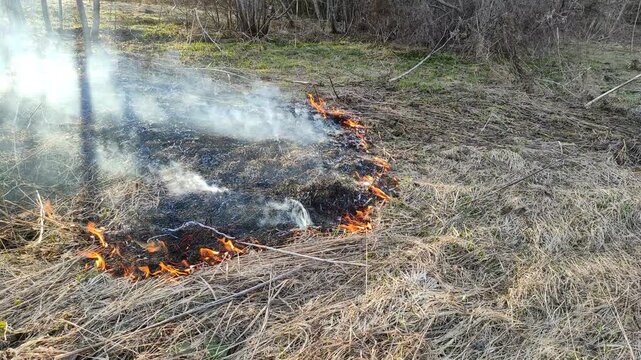 Burning dry grass in the open air №6