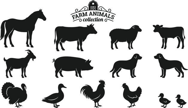 Black silhouette farm animals collection icons set, horse, cow, sheep, calf, goat, pig, dog, turkey, duck, rooster, hen, chick illustration