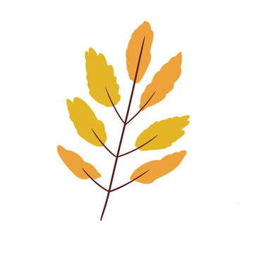 Mixed Color Leaf Branch Illustration &ndash; Autumn Botanical Yellow Orange Foliage Decorative Element