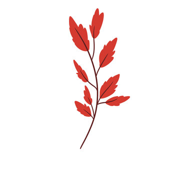 Detailed Red Leaf Branch Illustration &ndash; Autumn Botanical Foliage Decorative Element