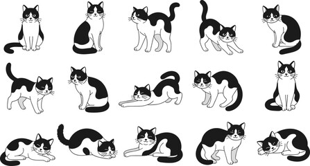 Naklejka premium A collection of monochrome cats in various poses are displayed against a plain white background showcasing their diverse appearances high quality professional detailed