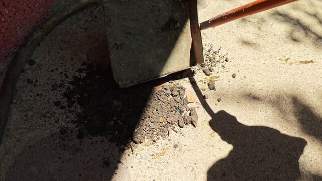 Using a shovel to cover poultry droppings with dirt