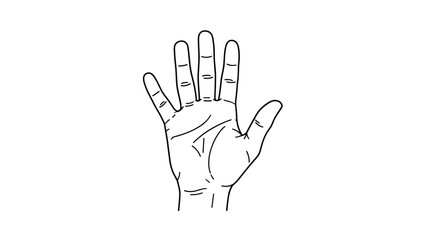 Obraz premium Simple black and white line drawing of a human palm with fingers spread wide showing the palm lines and details against a white background.