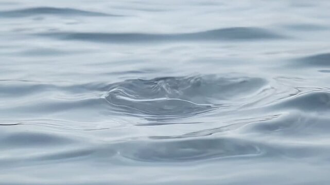 Calm ocean waves gently ripple and swell in serene natural environment freely.