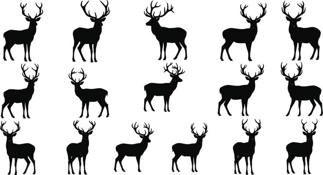 Deer silhouettes collection with stag poses, wild animal vector set, black illustration of forest wildlife isolated for design use